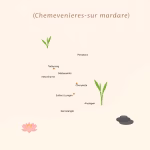 Massage thaï à Chennevières-sur-Marne – meilleurs salons près de chez vous