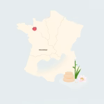 Massage thaï à Concarneau – meilleurs salons près de chez vous
