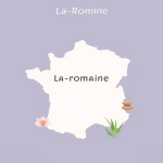 Massage thaï à La Romagne – meilleurs salons près de chez vous