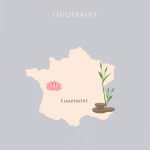 Massage thaï à Lieusaint – meilleurs salons près de chez vous