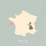 Massage thaï à Pavie – meilleurs salons près de chez vous