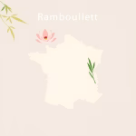 Massage thaï à Rambouillet – meilleurs salons près de chez vous