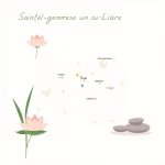 Massage thaï à Sainte-Gemmes-sur-Loire – meilleurs salons près de chez vous